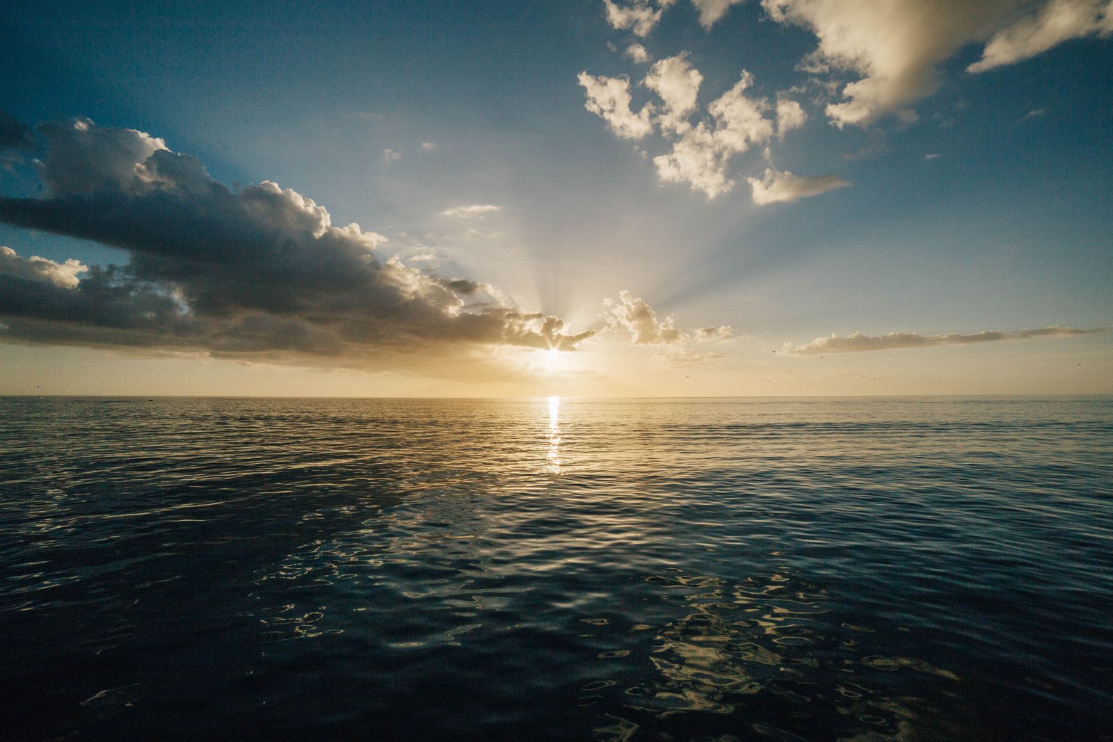 Ocean
